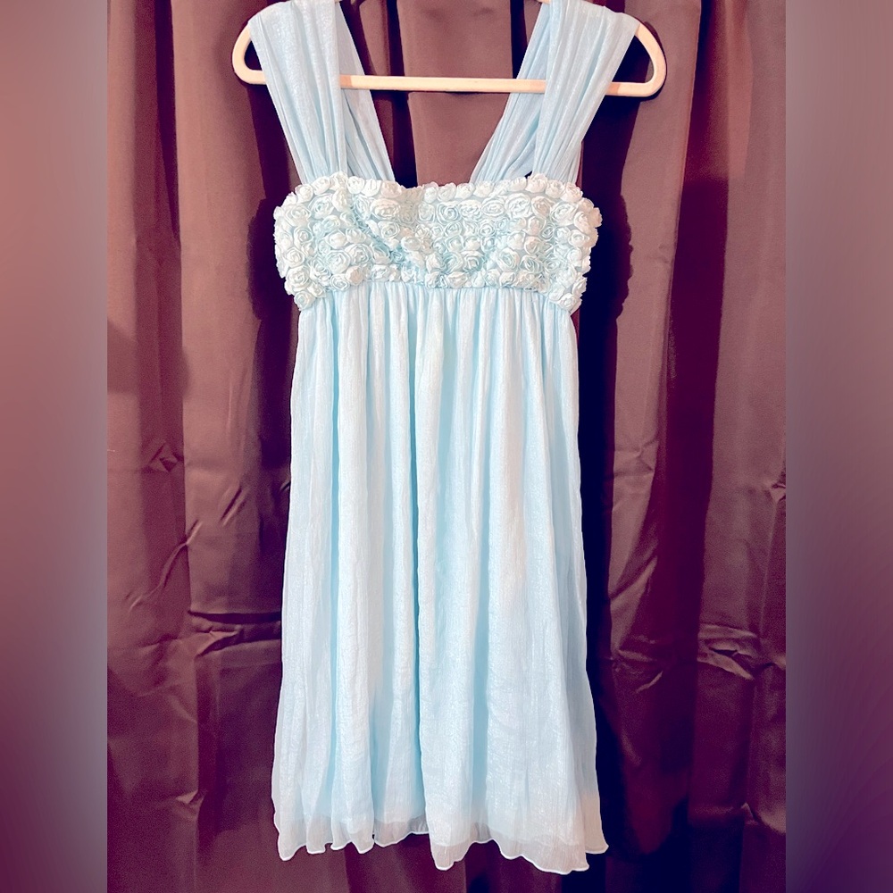 Ladies YA Dressy Dress,Size Medium, more blue than the picture, roses on the top